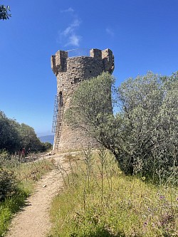Randonnée autour de Porto Pollo