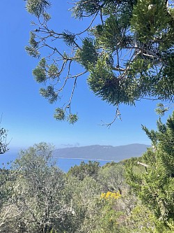 Vue panoramique