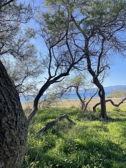 Randonnée autour de Propriano